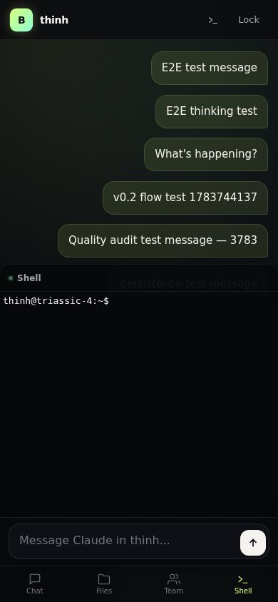 Mobile terminal